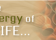 rug rehab manufacturers directory, chemical, laboratory, Vitamins c, health food, vitamin, vitamin supplement, vitamin shoppe, Antibiotics, Iron Supplements, Nutraceutical formula